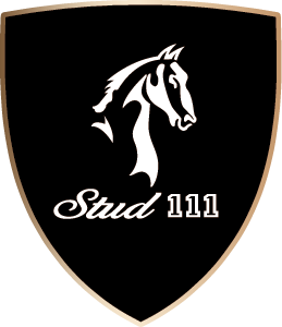 AS111 Stud111 logo
